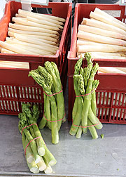 Weißer und grüner Schrobenhausener Spargel vom Spargelhof Nestler aus Hohenried